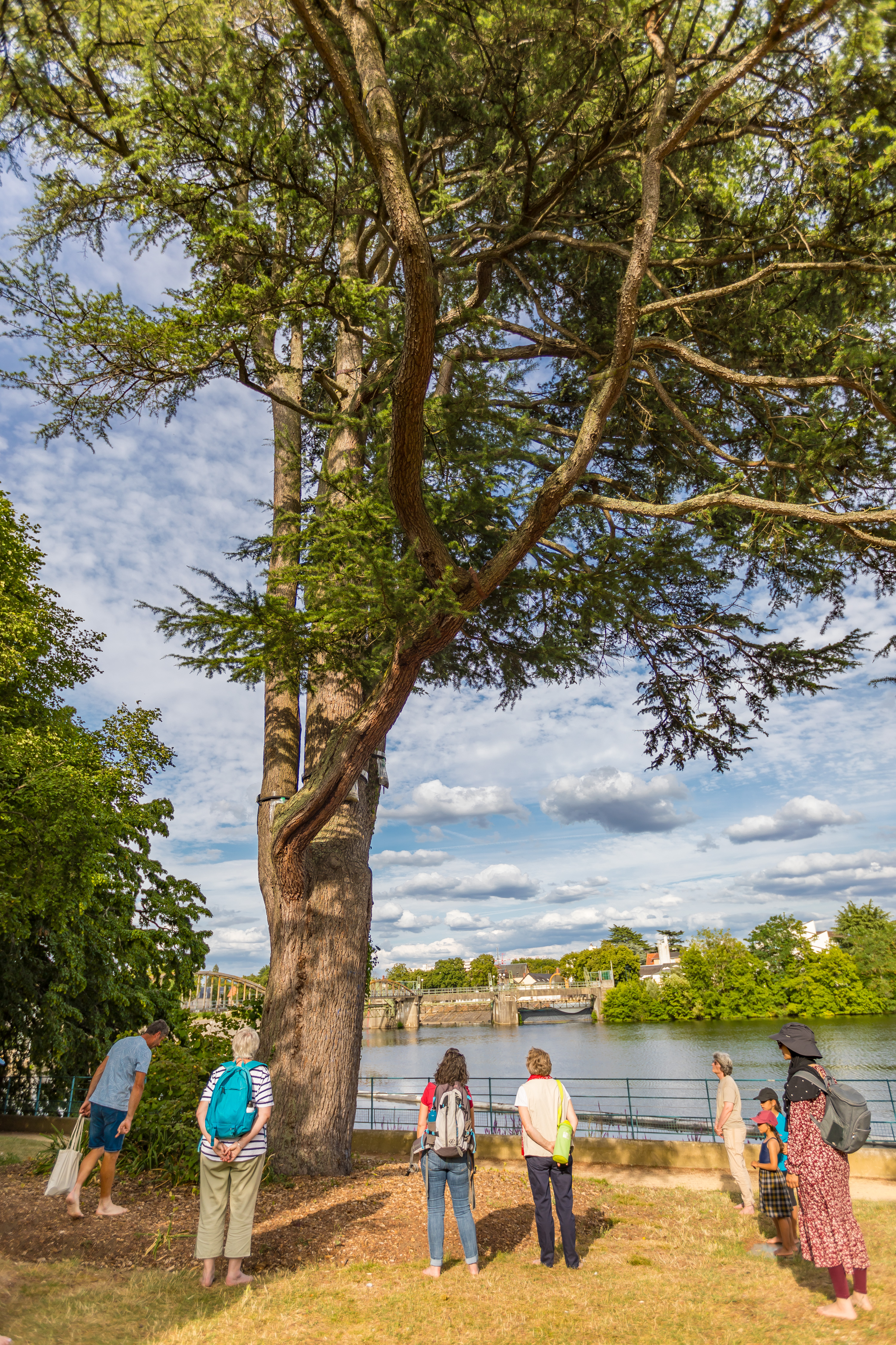 Promeneurs sous un arbre