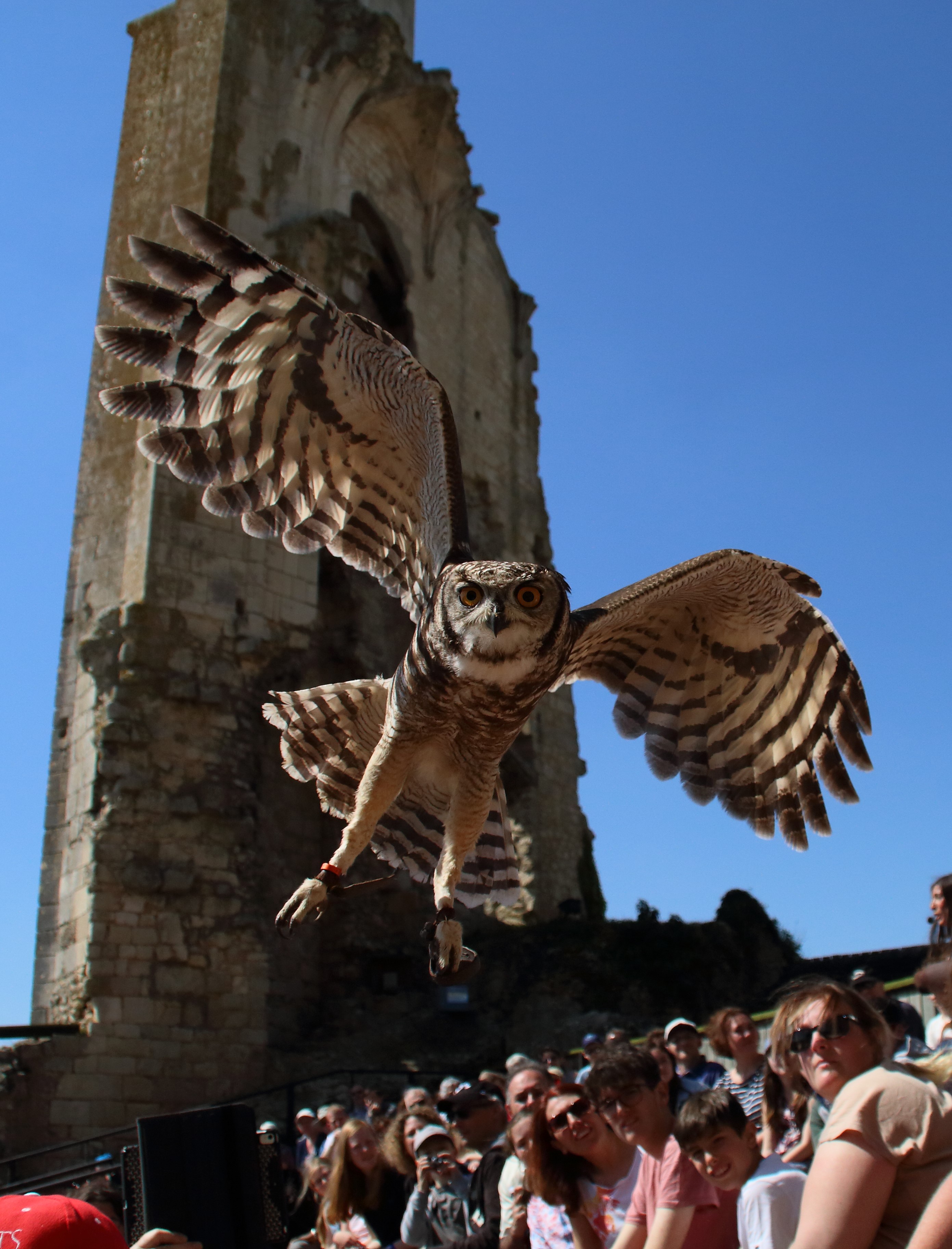 Les Géants du Ciel de Chauvigny